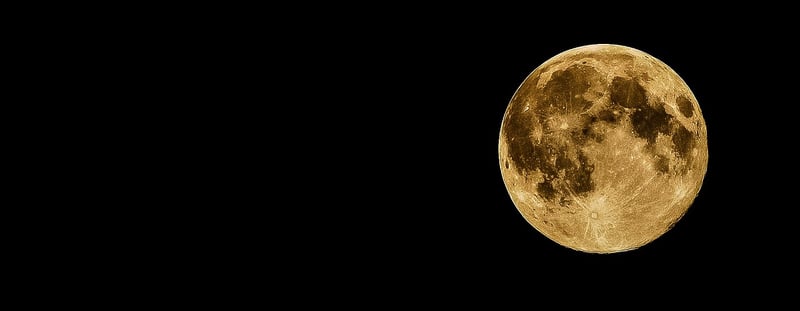 Space Race Moon Landing